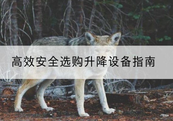 当阳升降货梯厂家推荐-*安全选购升降设备指南