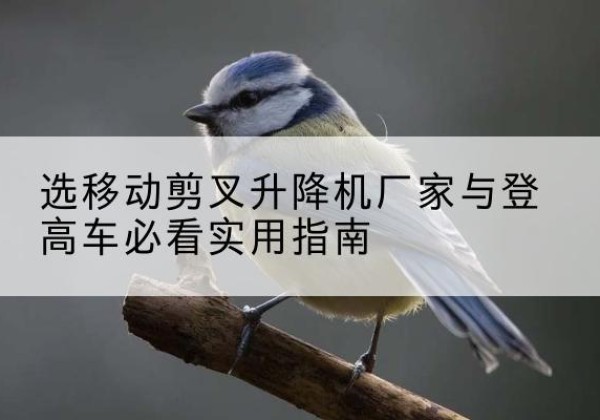 当阳电动升降机厂家-选移动剪叉升降机厂家与登高车必看实用指南