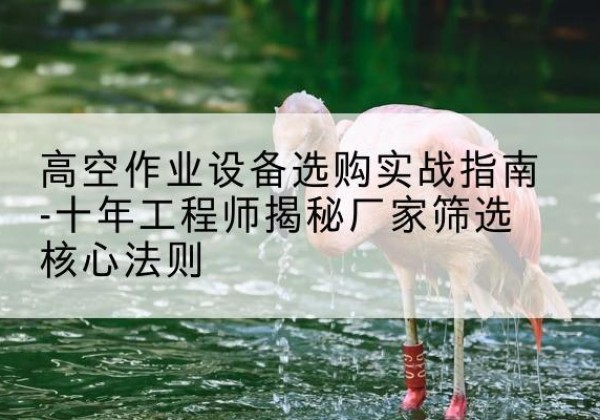 当阳剪叉式升降机厂家-高空作业设备选购实战指南-十年工程师揭秘厂家筛选核心法则
