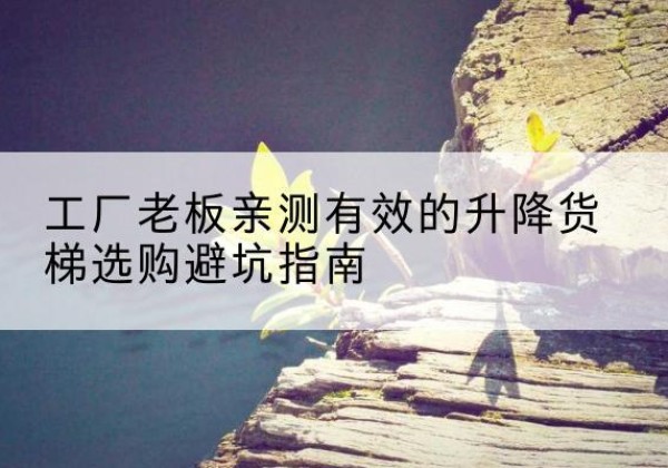 当阳升降货梯怎么选-工厂老板亲测有效的升降货梯选购避坑指南
